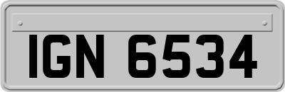 IGN6534