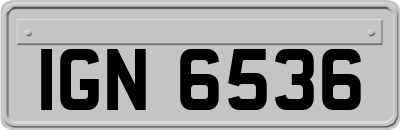 IGN6536