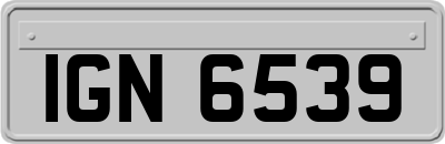 IGN6539