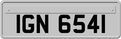 IGN6541