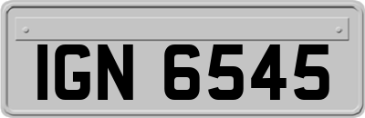 IGN6545