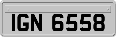IGN6558