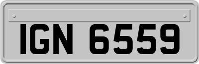 IGN6559