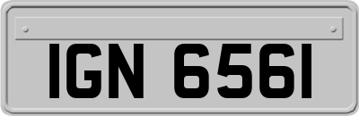 IGN6561