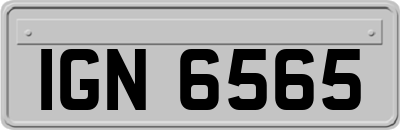 IGN6565