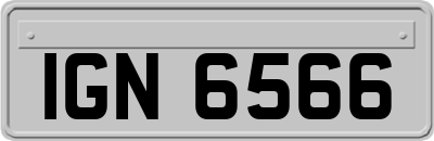 IGN6566