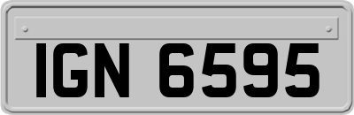 IGN6595