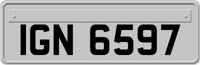 IGN6597