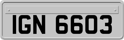 IGN6603