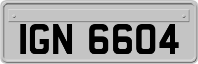 IGN6604