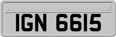 IGN6615