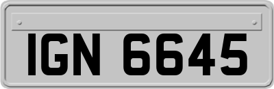 IGN6645