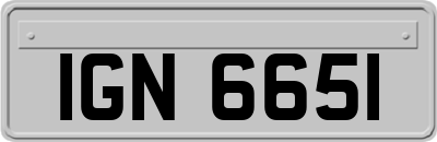 IGN6651