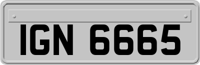 IGN6665