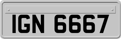 IGN6667