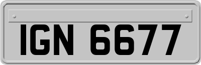 IGN6677