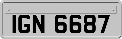 IGN6687