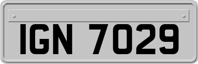 IGN7029