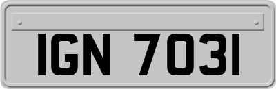 IGN7031