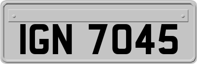 IGN7045