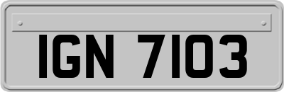 IGN7103