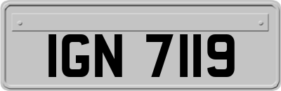 IGN7119