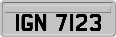 IGN7123