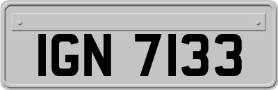 IGN7133