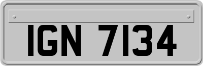 IGN7134