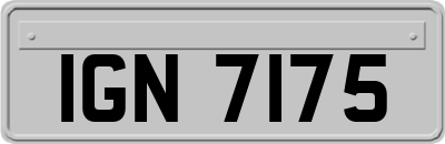 IGN7175