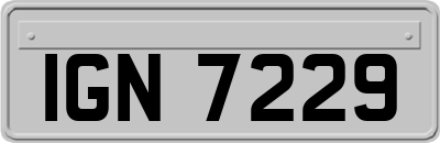 IGN7229