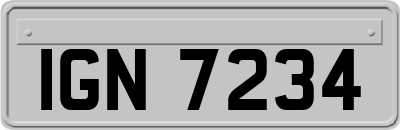 IGN7234