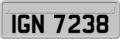 IGN7238