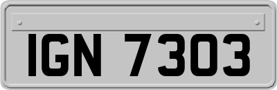 IGN7303