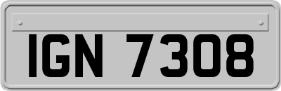 IGN7308