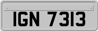 IGN7313