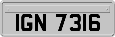 IGN7316