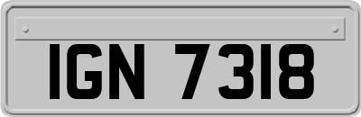 IGN7318