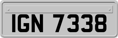 IGN7338