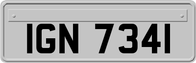 IGN7341