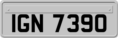 IGN7390