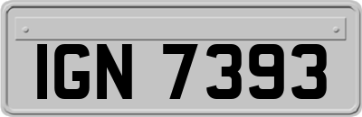 IGN7393