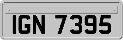 IGN7395