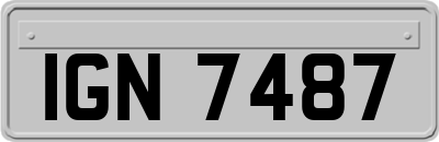 IGN7487