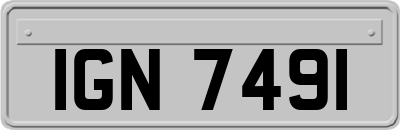 IGN7491