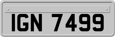 IGN7499