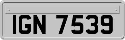 IGN7539