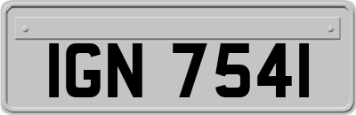 IGN7541