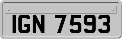 IGN7593