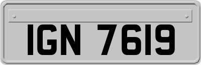 IGN7619